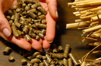 free Moldgreen biomass boiler quotes